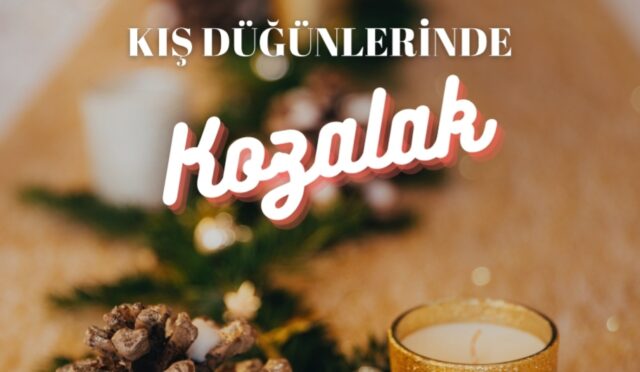 Screenshot_20240209_015831_Drive